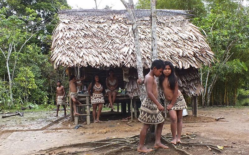 Indigenous tribes of the amazon